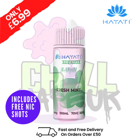Fresh Mint Hayati Pro Max Shortfill Juice 100ML Eliquid