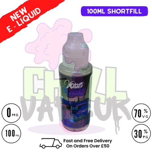 Blueberry ICE Vape Hedz 100ml Shortfill Eliquid